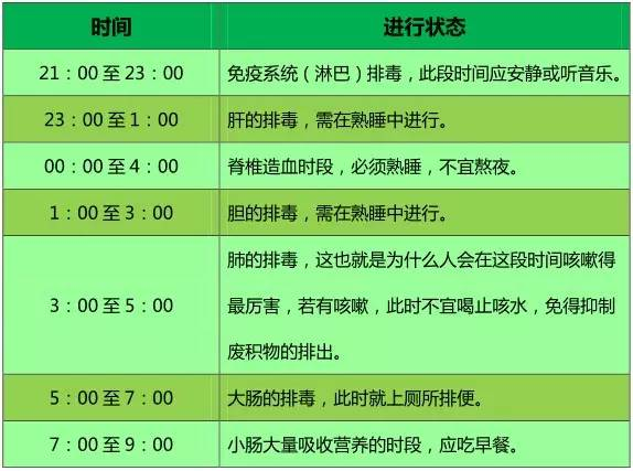 人体器官排毒时间表
