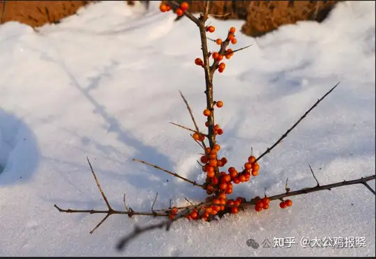 传承中医文化