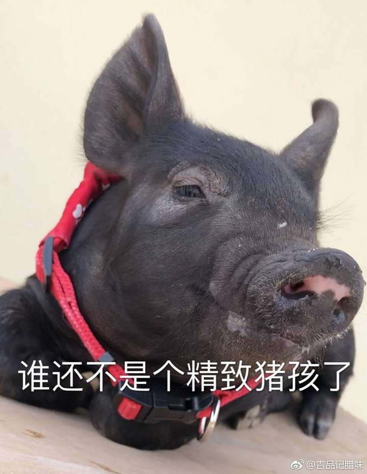 东北冬季室内外温差大,如何穿衣服?