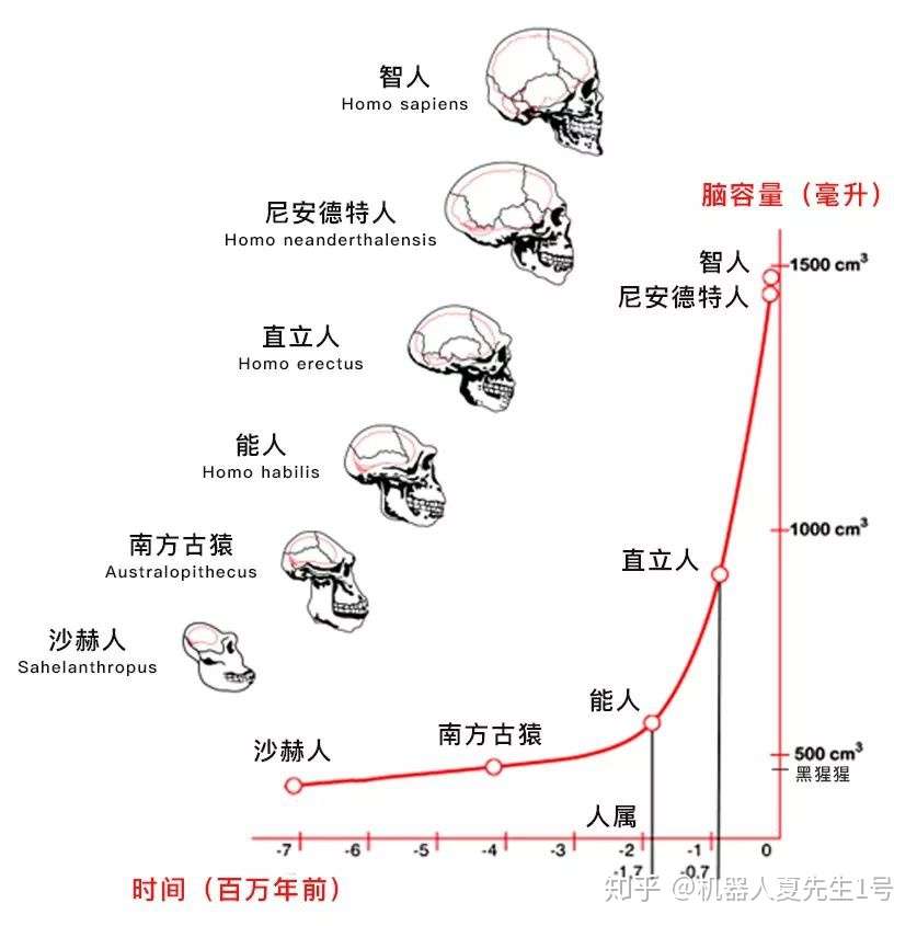 为什么人类的雌性比雄性更漂亮 知乎