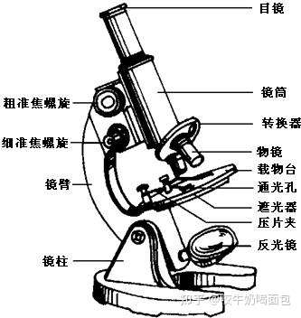 什麼樣的顯微鏡適合孩子?