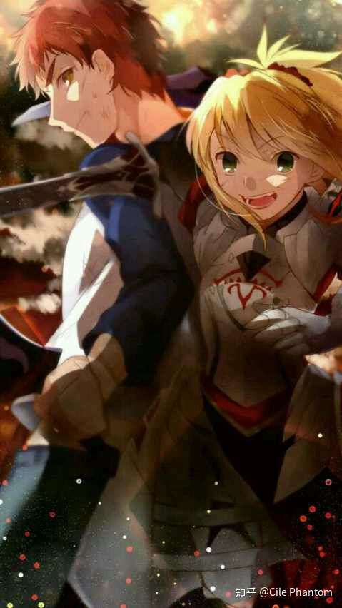 如果莫德雷德和卫宫士郎相见会发生什么