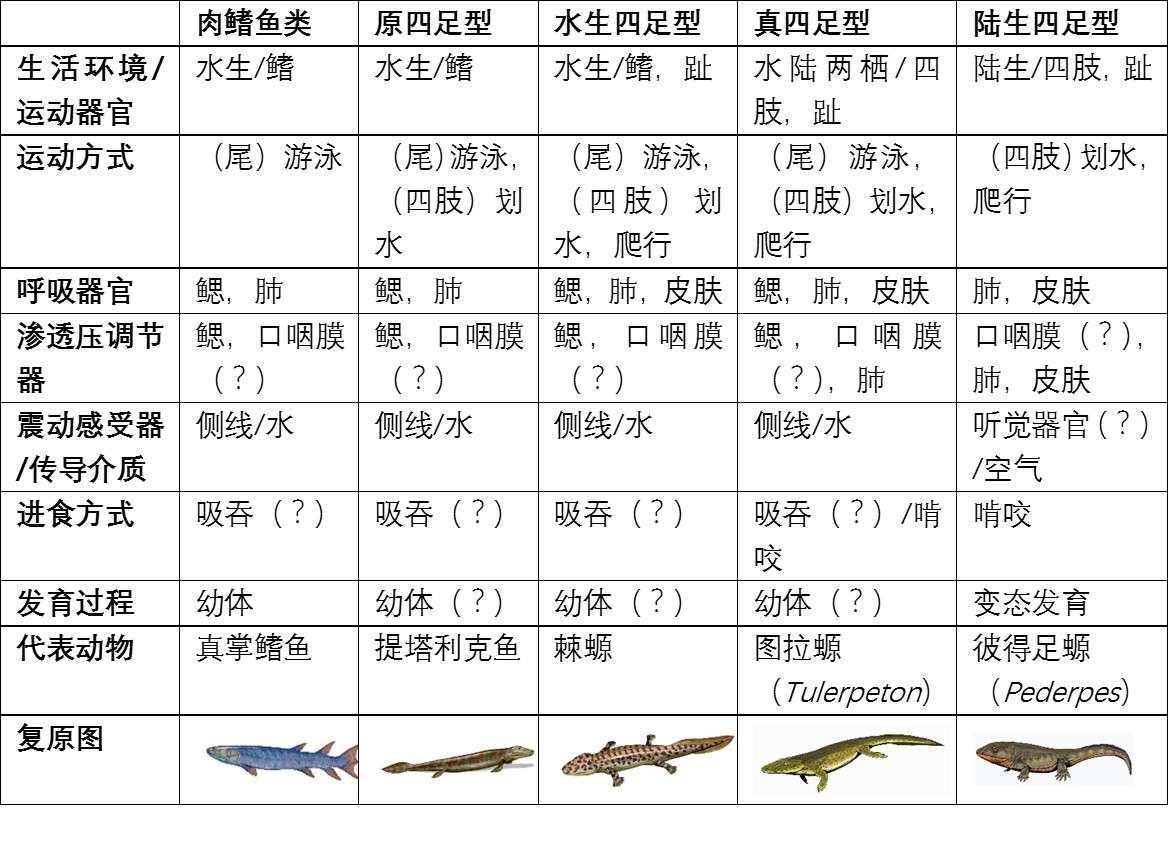 地球演义 起跑线 知乎