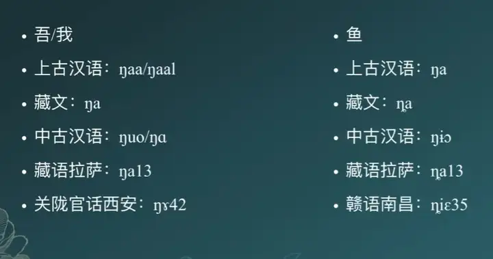如何评价庄子和惠施的濠梁之辩？