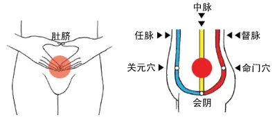 冥想改善身体健康的基本原理:调用身体先天能量,恢复人