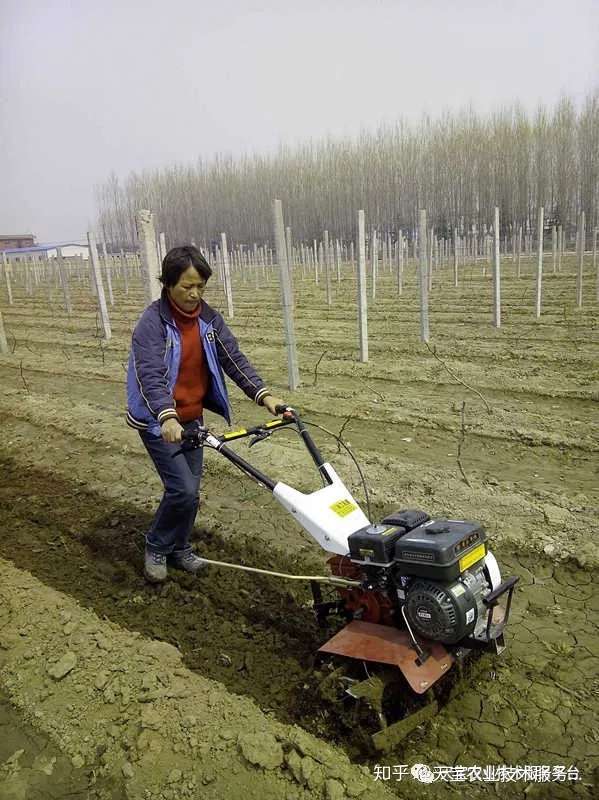 松土除草机的正确使用和保养 知乎