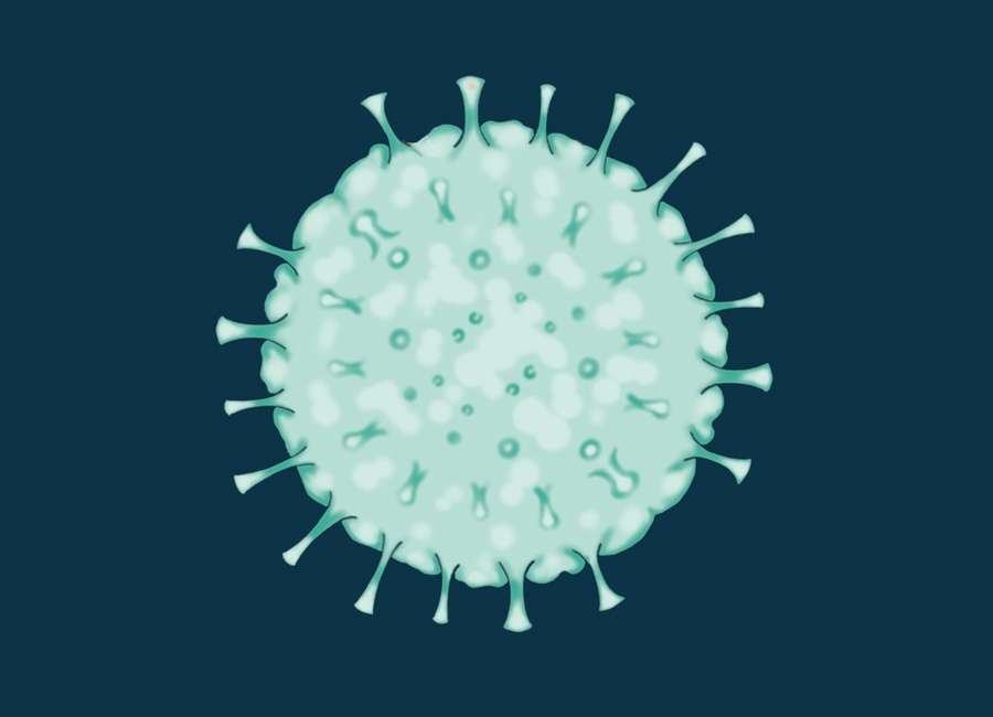 纯干货丨高中生物涉及到的微生物及分类大全 知乎 纯干货丨高中生物涉及到的微生物及分类大全 知乎