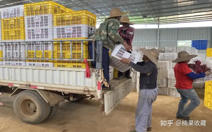 如何轻资产批量孵化三农直播带货账号?