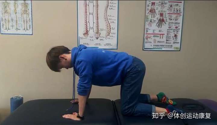 多裂肌有哪些好的训练方法?爬行可否锻炼多裂肌?