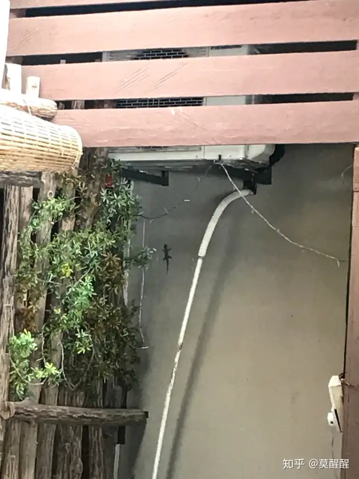 马来西亚「沙巴」有什么值得推荐的游玩攻略和体验分享？