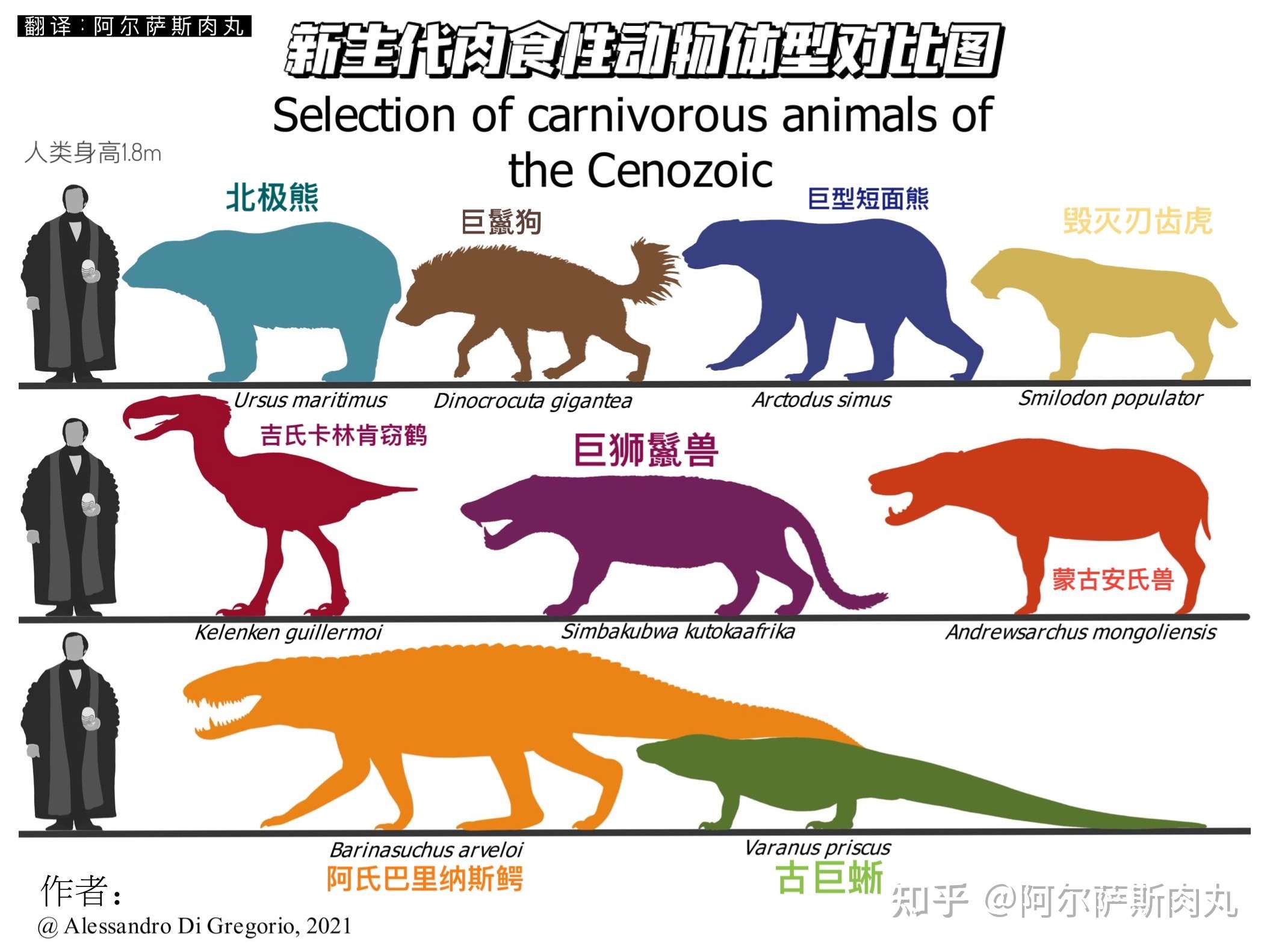 转推新生代陆地肉食动物体型对比