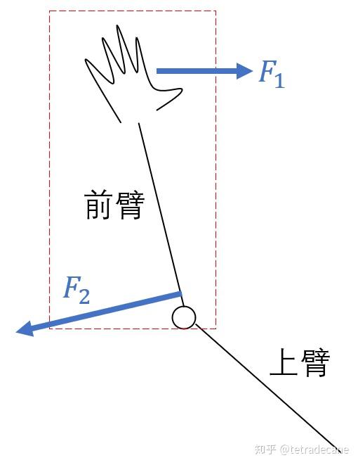 掰手腕受力分析图图片