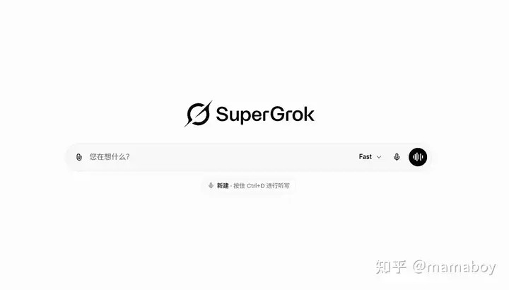 Grok 页面