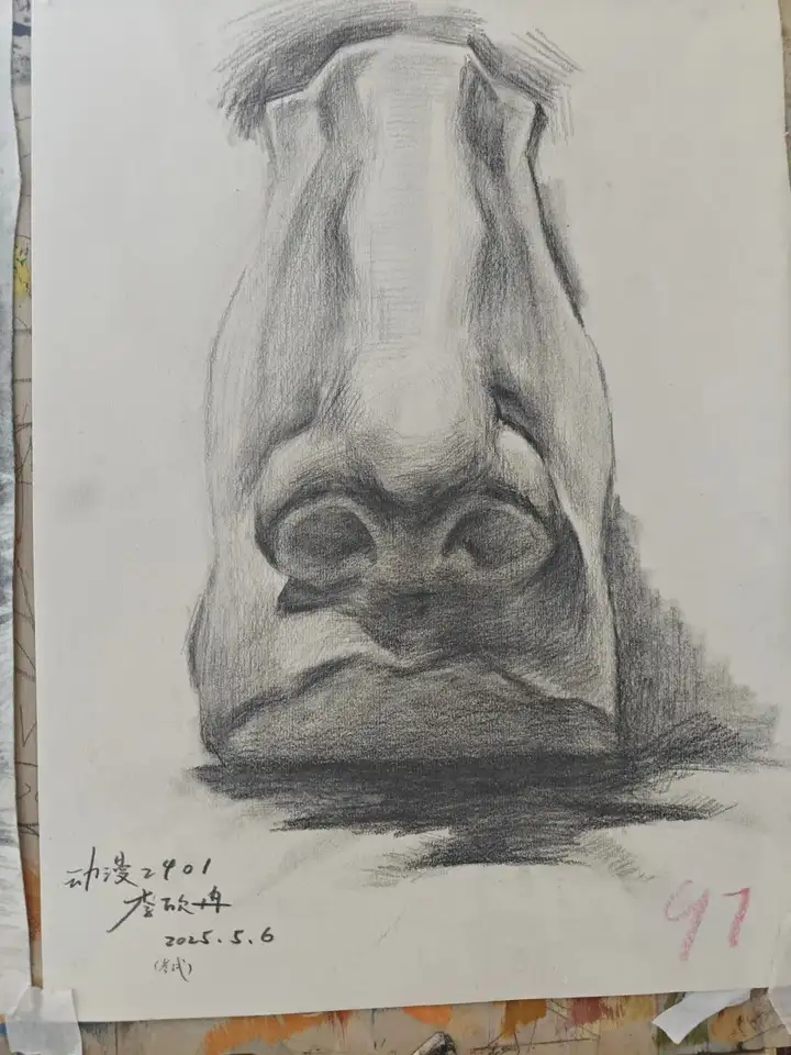 绘影逐光 青春创想|塘栖校区素描比赛优秀作品展(图23)