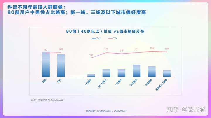 2020抖音用户画像分析