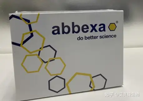 Abbexa牛酪蛋白激酶ii 亚基alpha 2 Elisa 试剂盒实验步骤说明 知乎