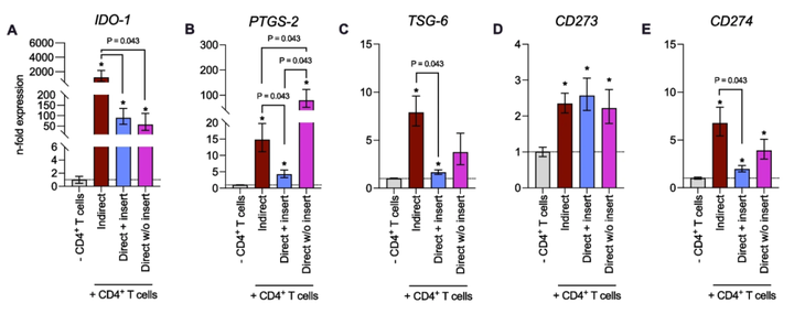 人牙周膜來源的間充質(zhì)基質(zhì)細(xì)胞通過旁分泌和細(xì)胞接觸介導(dǎo)對(duì) CD4+ T 淋巴細(xì)胞的免疫調(diào)節(jié)作用