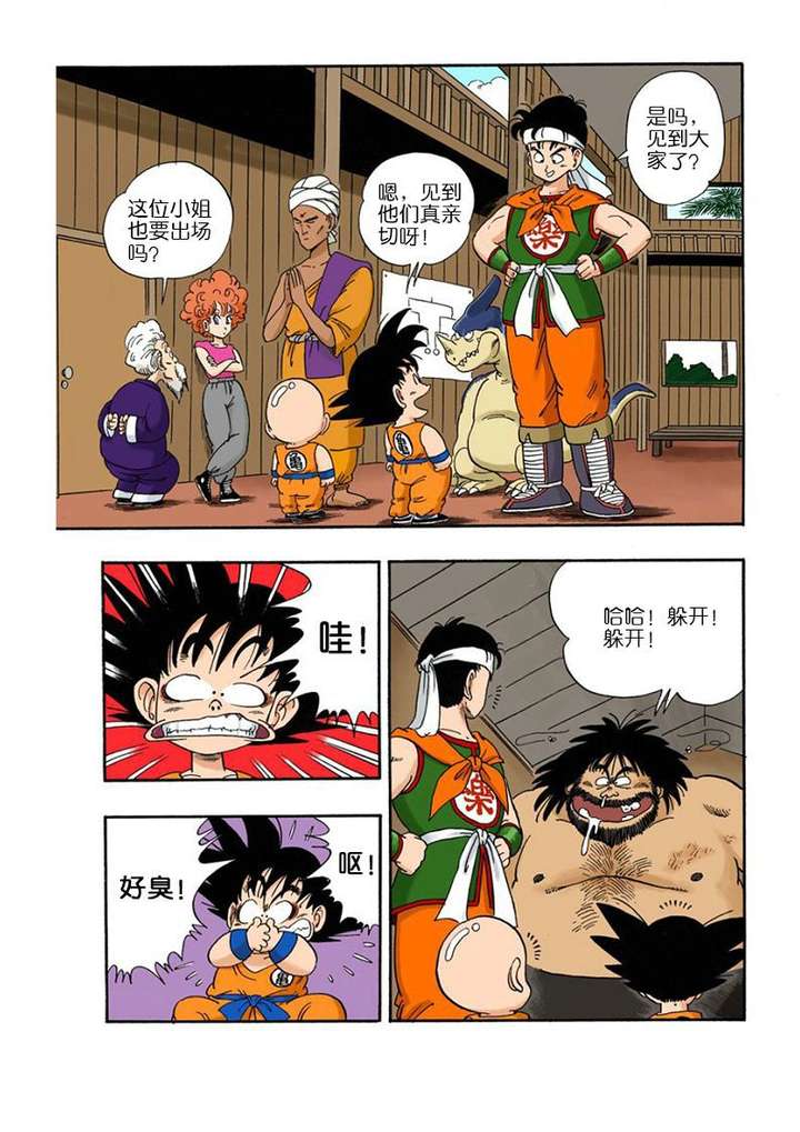 如何评价龙珠里的南无