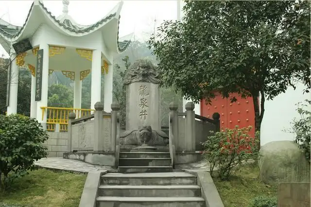 它是中国酒城，很多人却因为它爱上这座城市