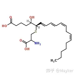 中性粒细胞neutrophils是如何迁移到组织中去