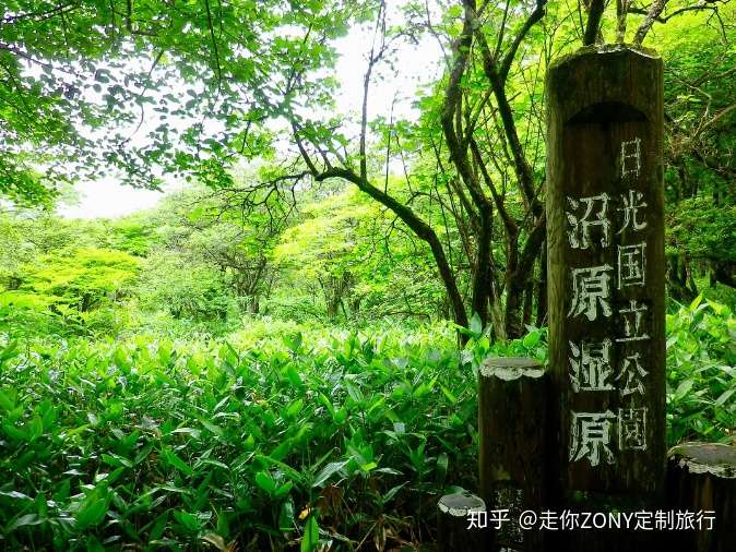 那须 离开现代都市 与羊驼和花田共度一日吧 知乎