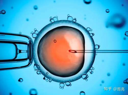 成都最大三代试管（试管科普｜什么是1、2、3代试管婴儿技术？（超详细解读））
