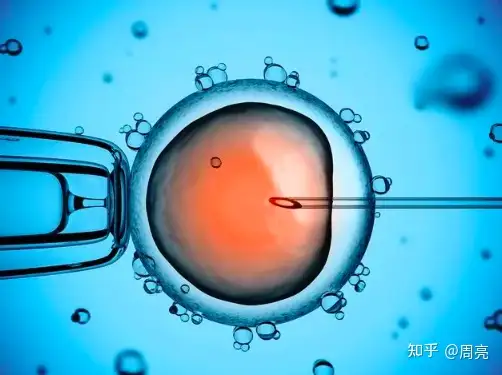 成都借卵机构（硬核推荐）