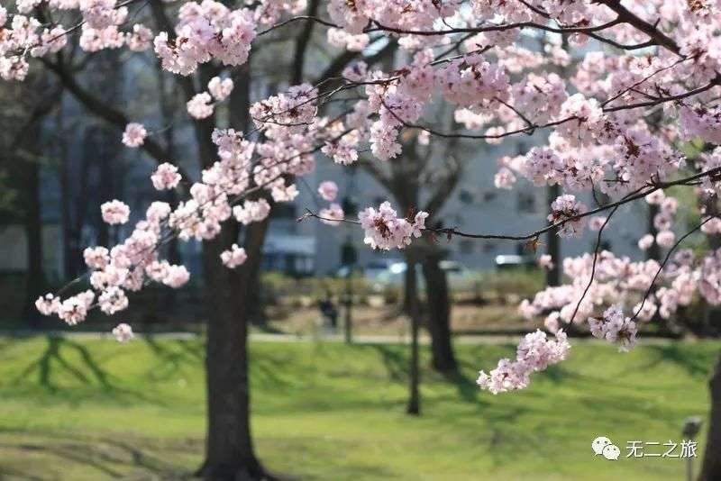 最适合五月的旅行地 去邂逅初夏阳光 知乎