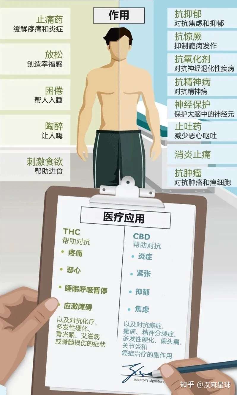 关于cbd 我们知道什么 我们又不知道什么 知乎