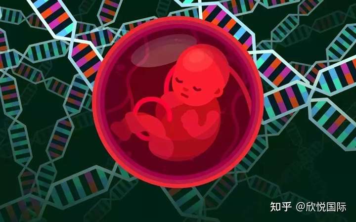 成都试管婴儿 |  第三代试管婴儿费用大概多少钱?（第一试管网）