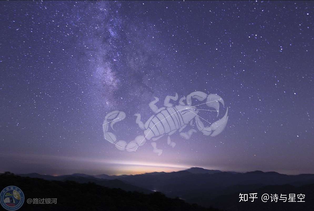 星座故事 中国人口最多的星座 天蝎座 知乎