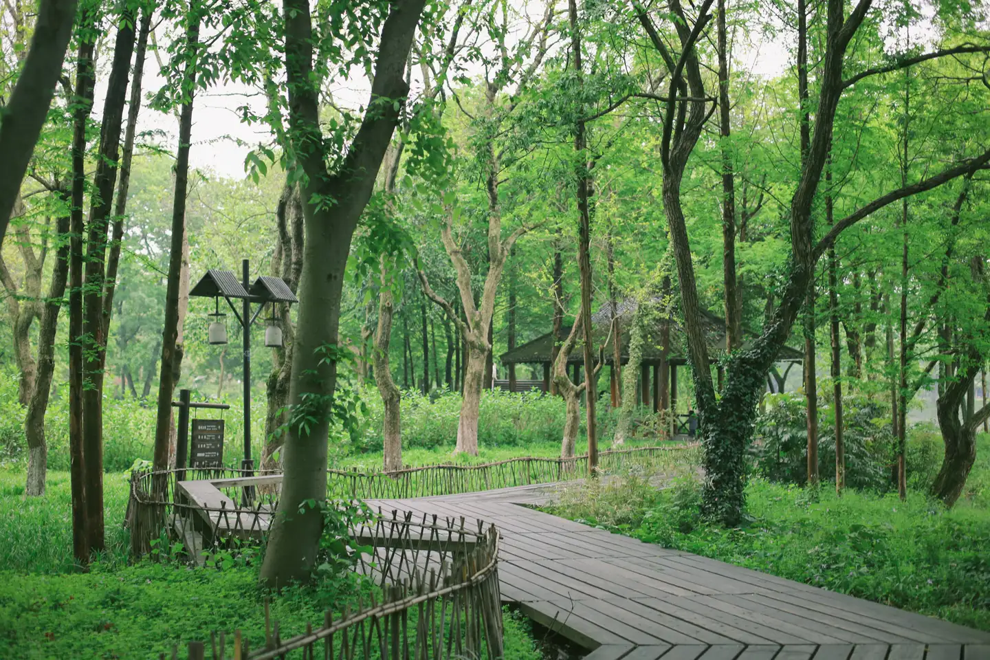 重走上香古道，探寻杭城古寺- 知乎