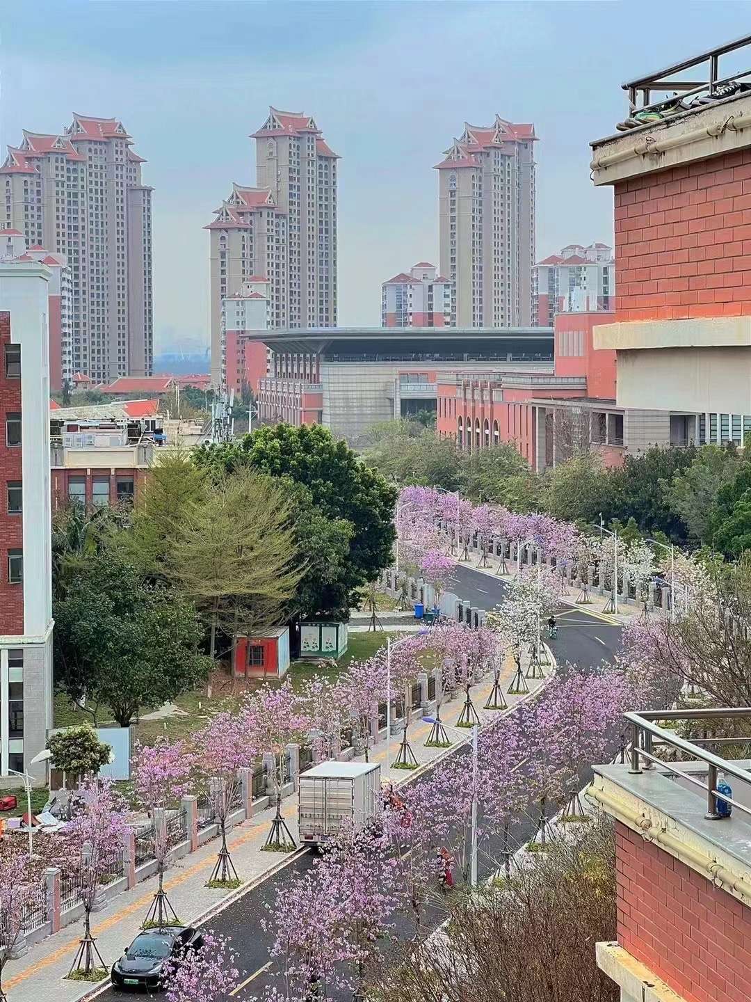 爱吃洪濑鸡爪的舒克 的想法: 集美大学诚毅学院 首先关于转设的问题一