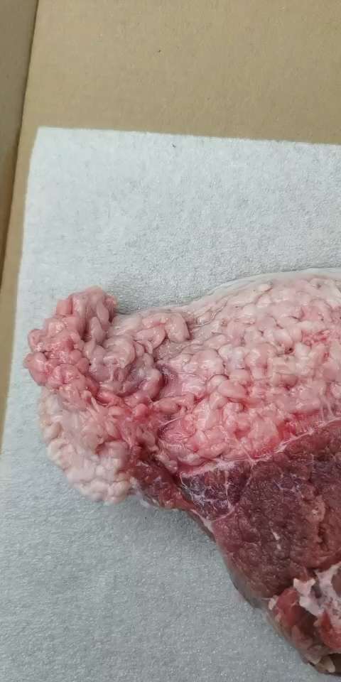 米猪肉长什么样子图片图片