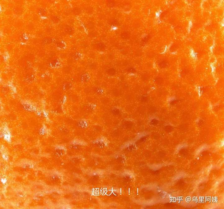 采用医美方式收缩毛孔真的有用吗?(图8) 采用医美方式收缩毛孔真的有用吗?(图8)