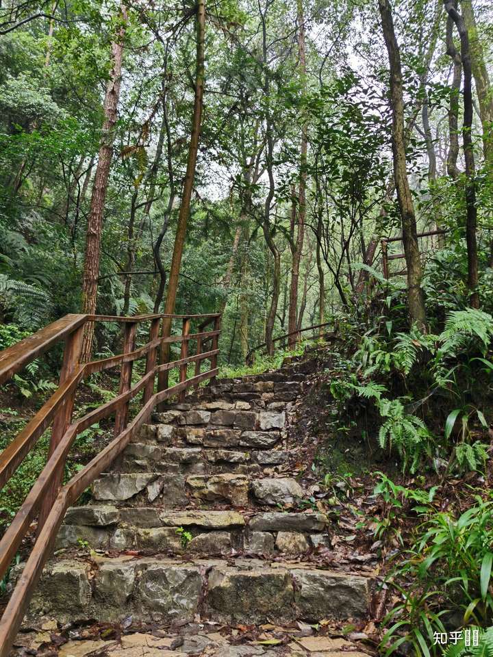 歌乐山步道 筷子楼 长江里的鹅卵石 长江 一个人去长江边看船 看船