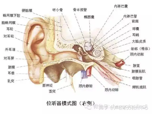 迟搂觅勿恍蜗严瞧狐欺(图1)