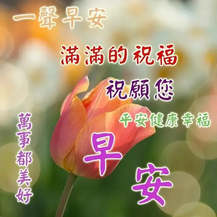 微信群发早晨好表情包图片大全 早上好问候语表情动态图片