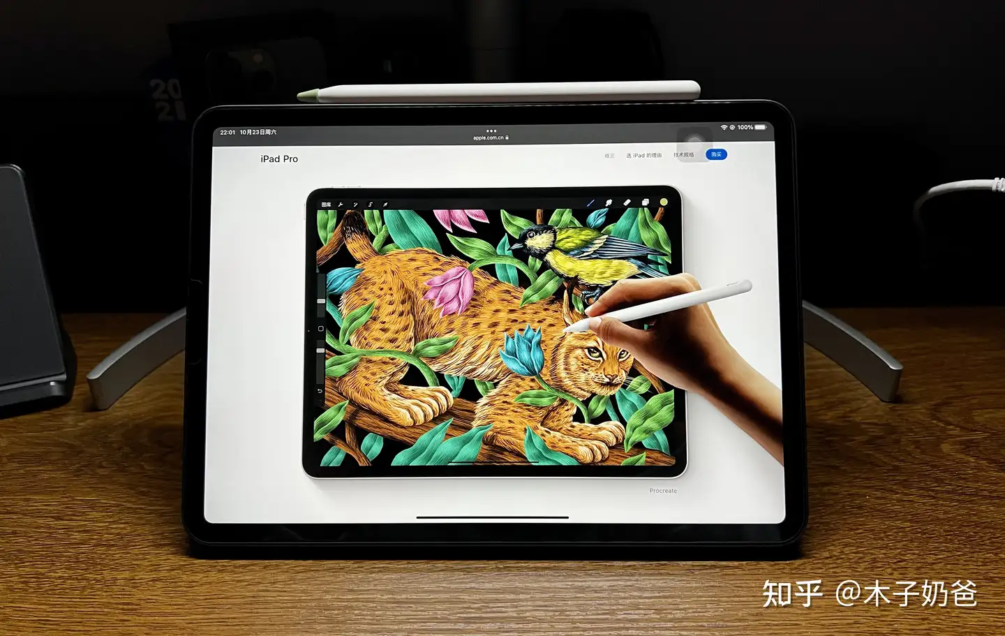 ipad如果只是用来记笔记有必要买apple pencil原装吗？有没有什么平替