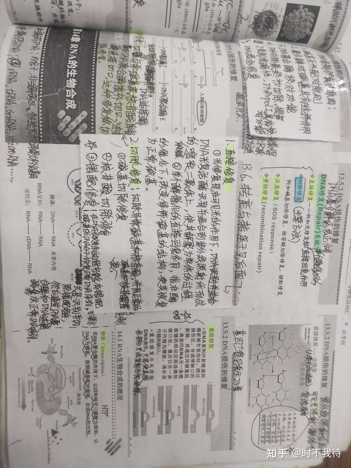 知乎专栏