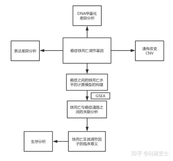 國自然新寵鐵死亡純生信分析也能發science子刊