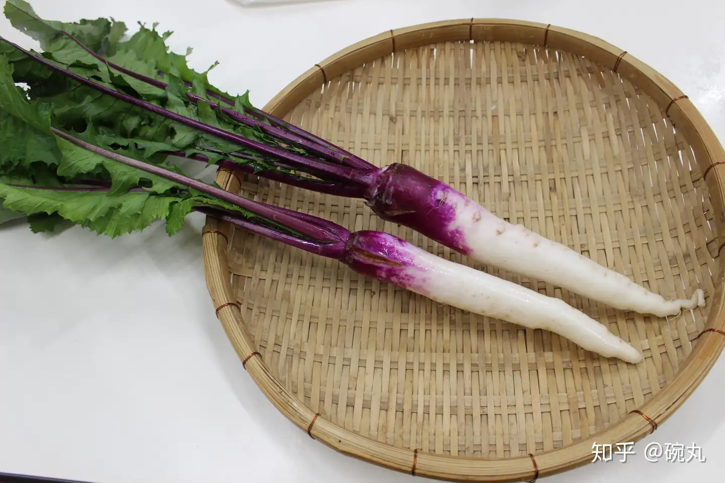 芜菁 圣护院大根和圣护院芜菁到底有啥区别呢 知乎