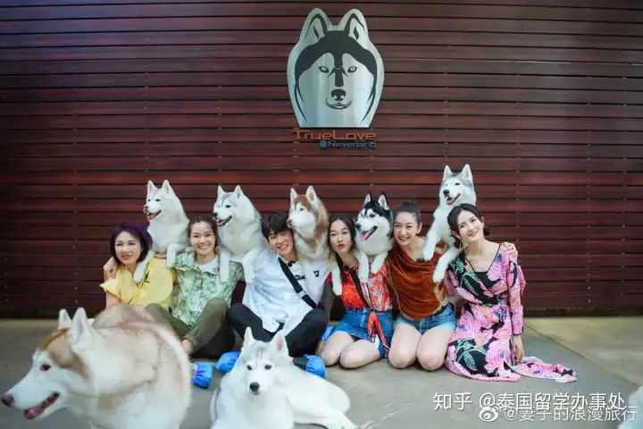 一篇读懂(妻子的浪漫旅行泰国打脸视频播放)妻子的浪漫旅行泰国打脸视频全集2023已更新 第21张