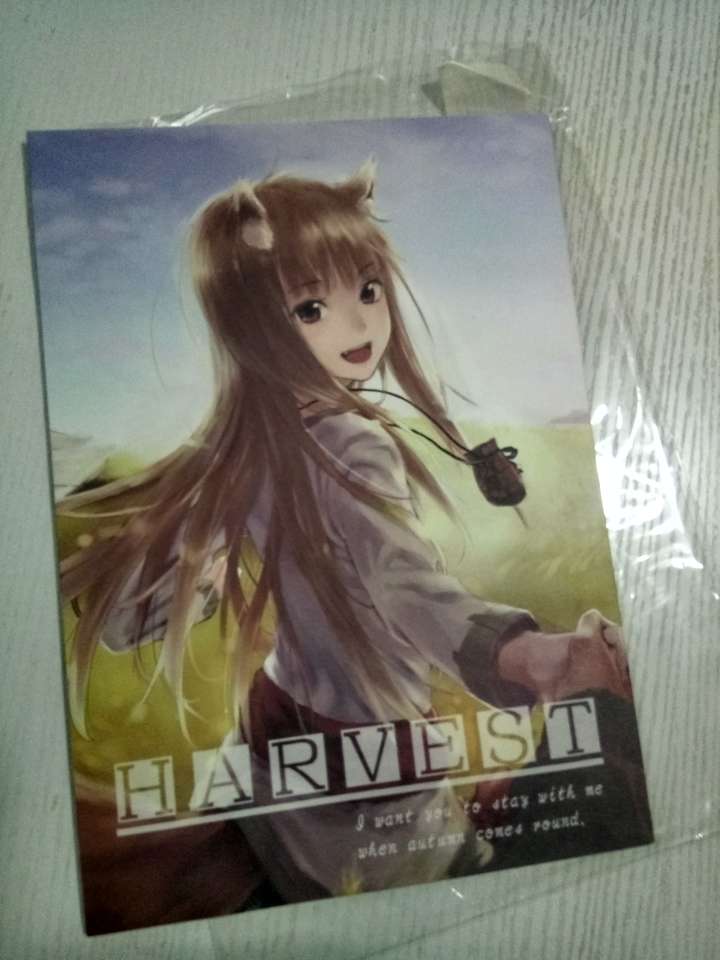 业界画《狼与香辛料》最好的同人画师:川上六角