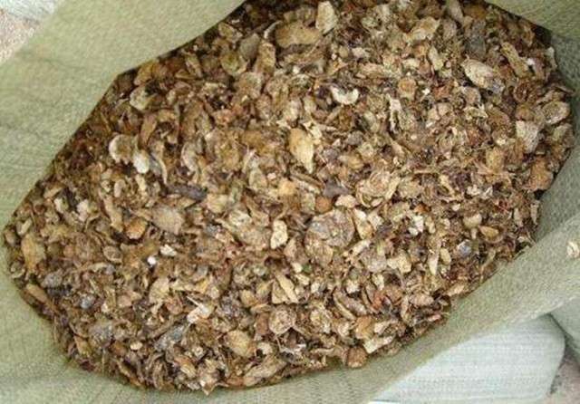 家庭如何自制花肥 6招废物利用教你轻松搞定 比买的花肥还有用 知乎