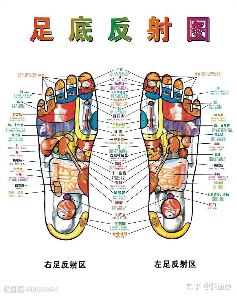 关于袜子我知道的 一 知乎