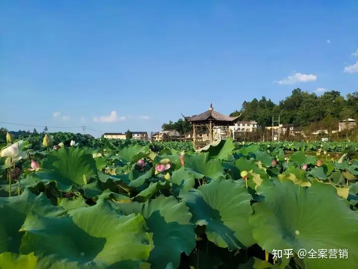争创天府旅游名县｜再见2022，细数那些时光里的小美好