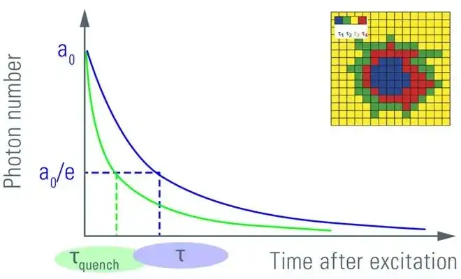 《荧光共振能量转移常用分析方法》