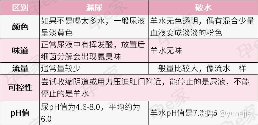 胎儿准备发动分娩是一种怎样的体验 老婆你为什么尿了 我是要生了 知乎