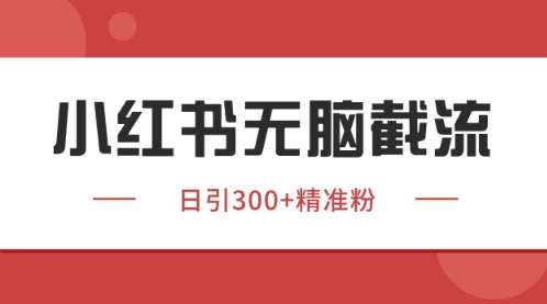 图片[1]-2025小红书暴力截流绝密玩法-只要你有同行就能获客，独家野路子获客玩法【揭秘】-暗冰资源网